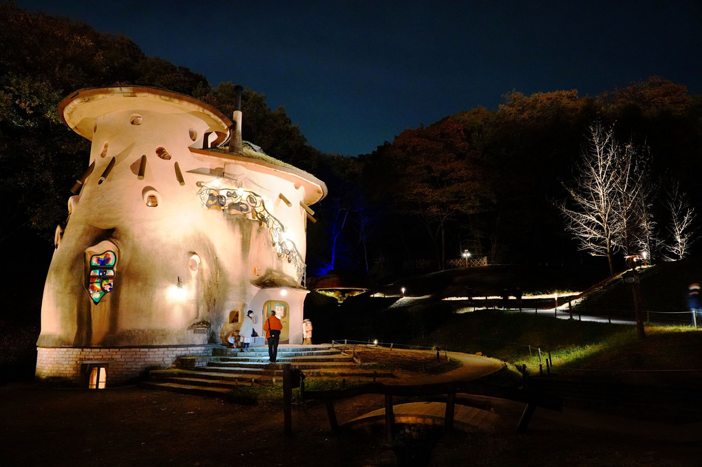 トーヤベンソンあけぼの子供の森公園の紅葉Vol.2