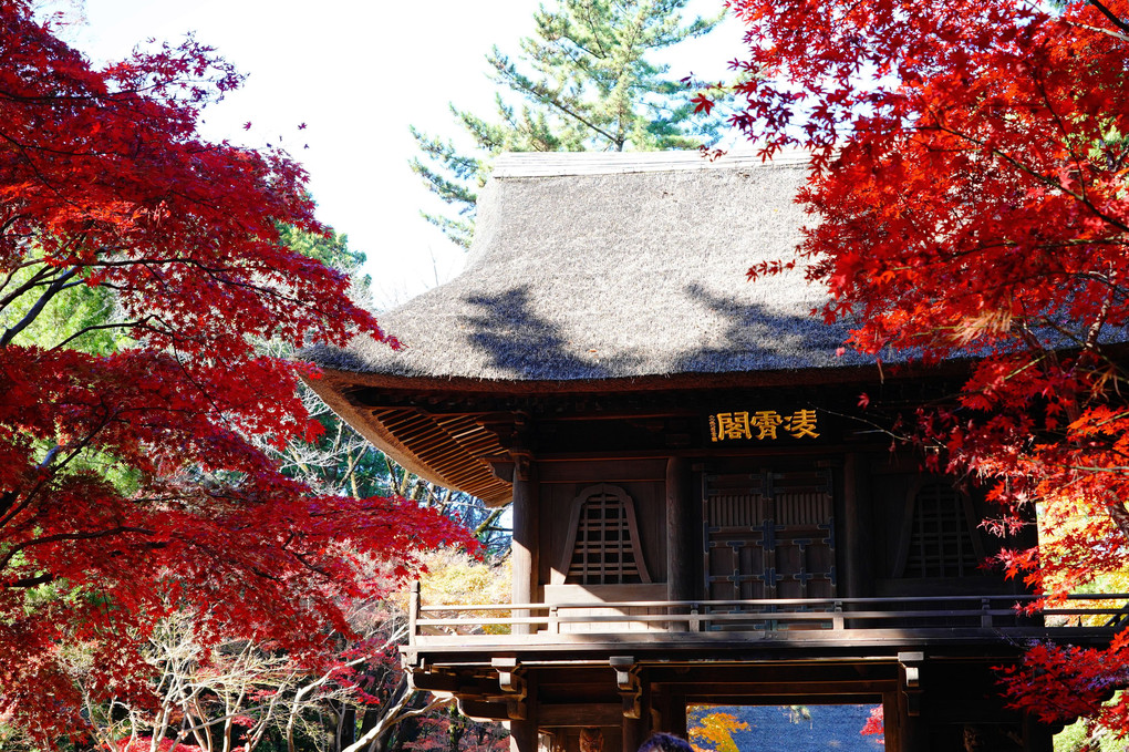 平林寺山門の紅葉