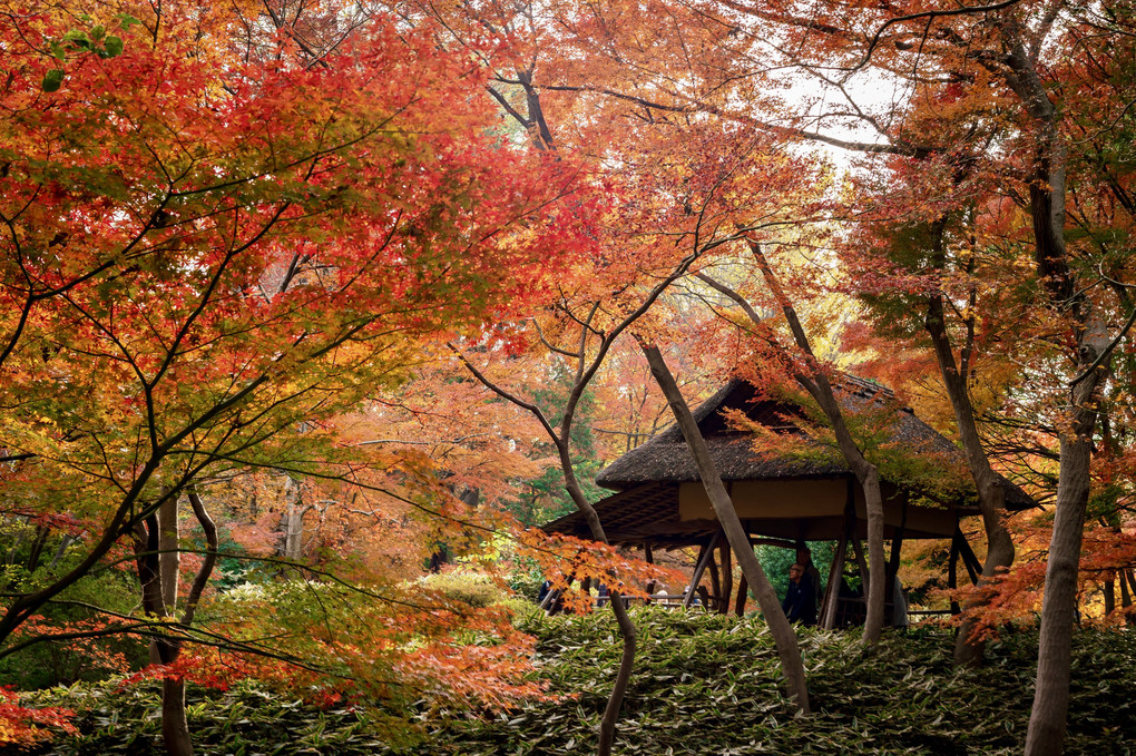 六義園にて