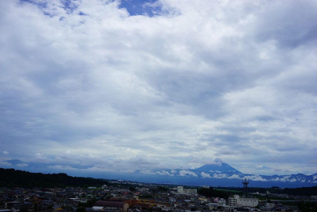 久しぶりに富士山が姿をあらわす