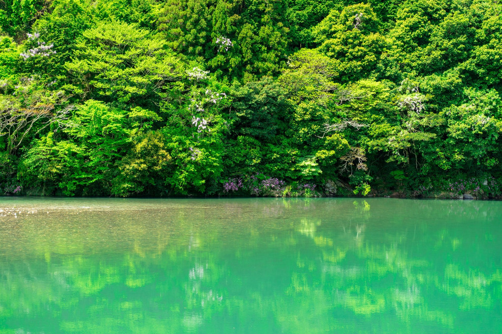 錦の清流