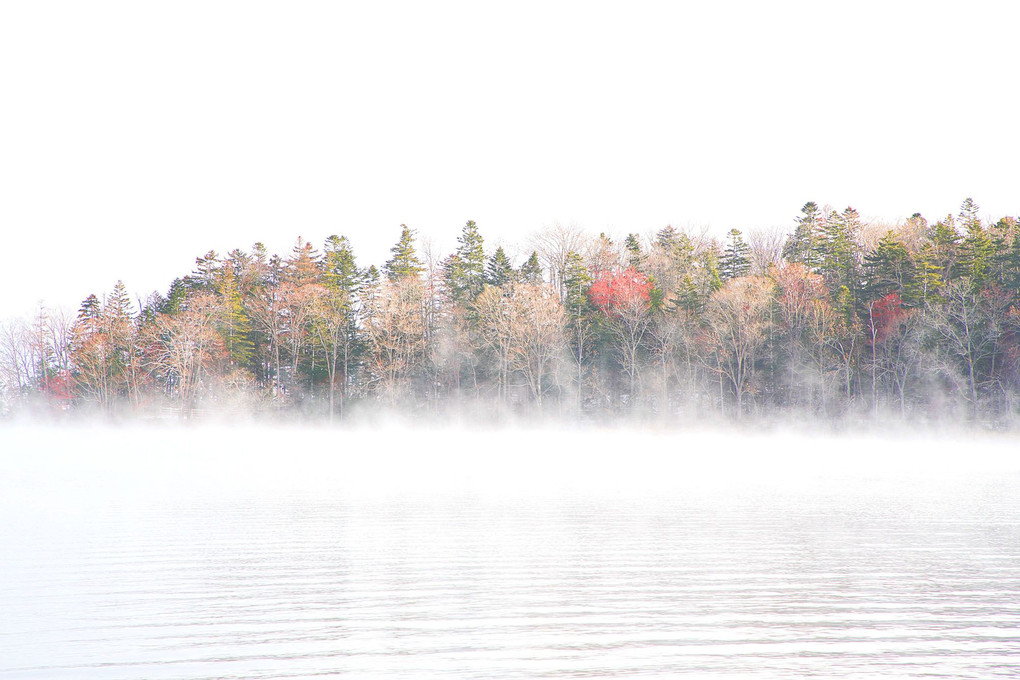 霧の阿寒湖