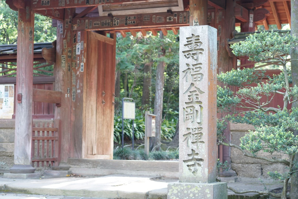 鎌倉寿福寺の参道