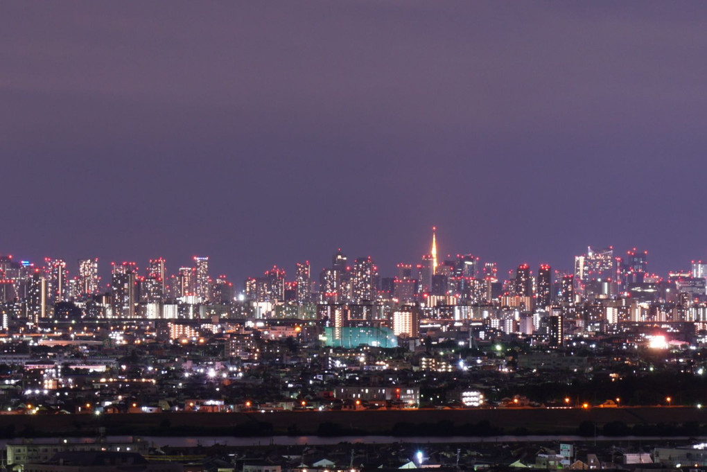東京の遠景