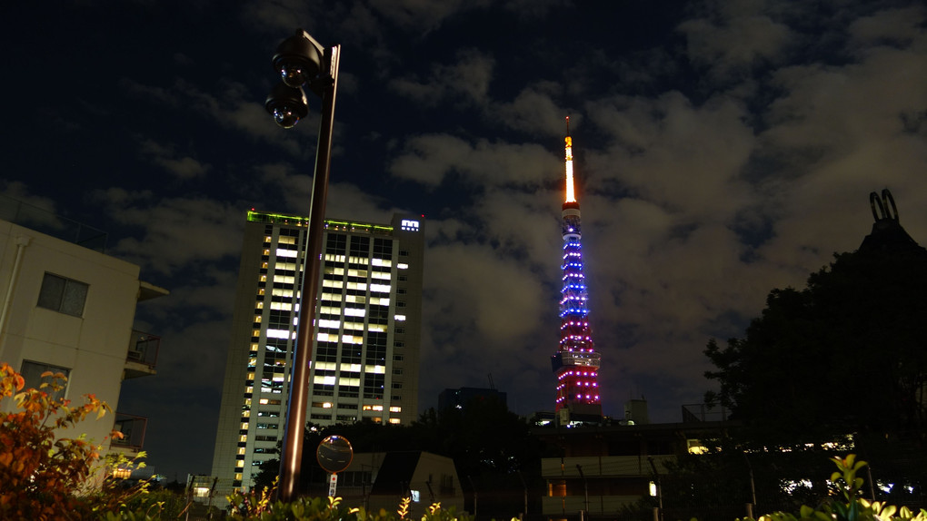 東京タワーのハロウィン仕様