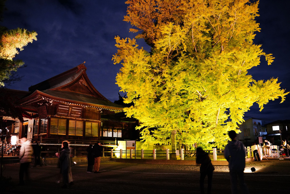 八幡神社のライトアップ
