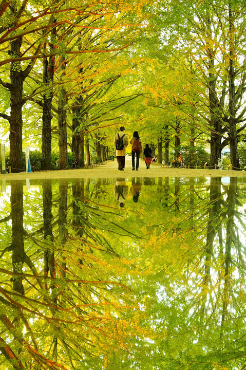 秋の夜散歩＠昭和記念公園