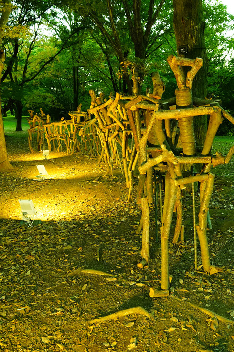 秋の夜散歩＠昭和記念公園