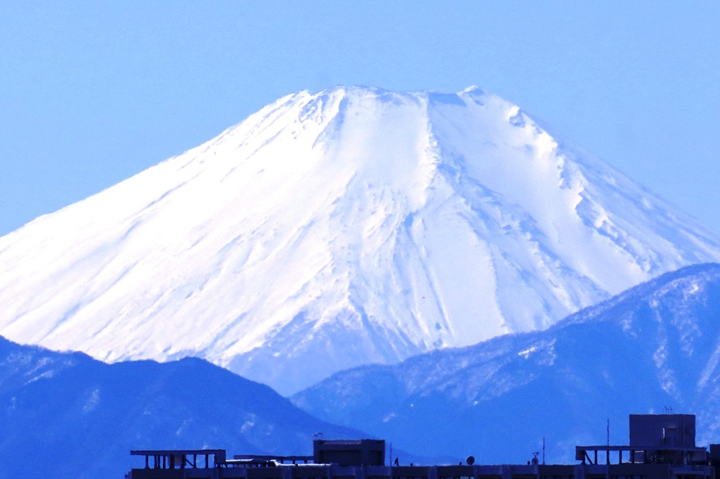 冬の富士山と野鳥