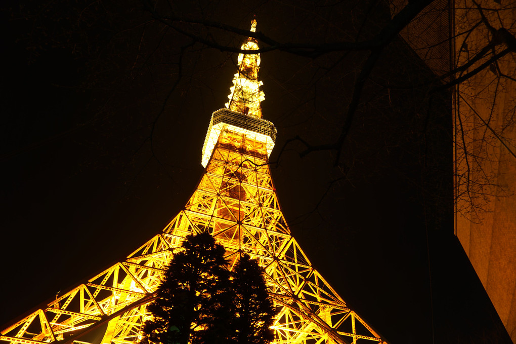 Tokyo TOWER