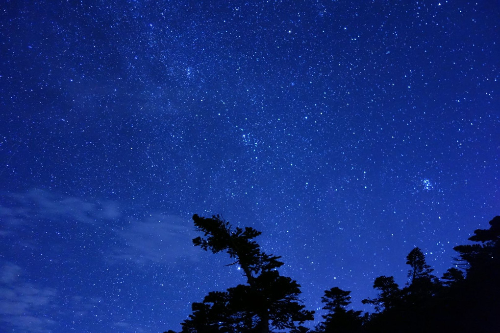 夢の庭園から……