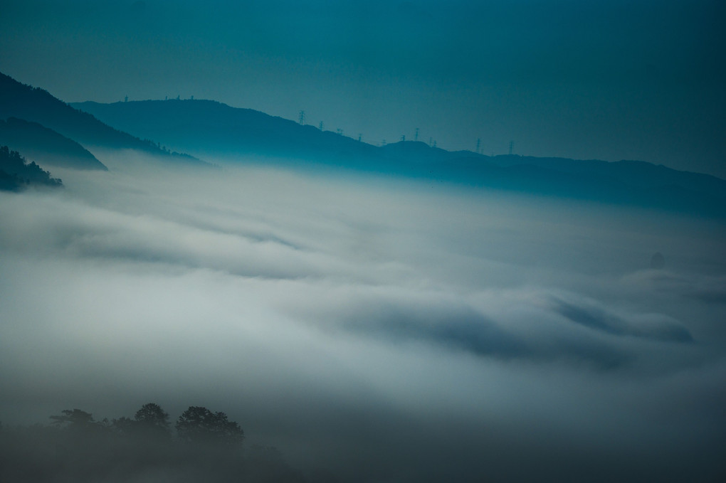 亀岡盆地の雲海