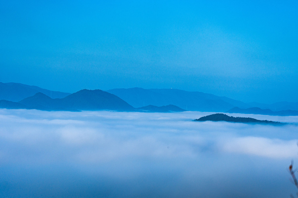 亀岡盆地の雲海