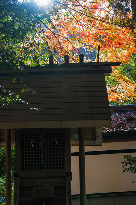 京都美山の秋