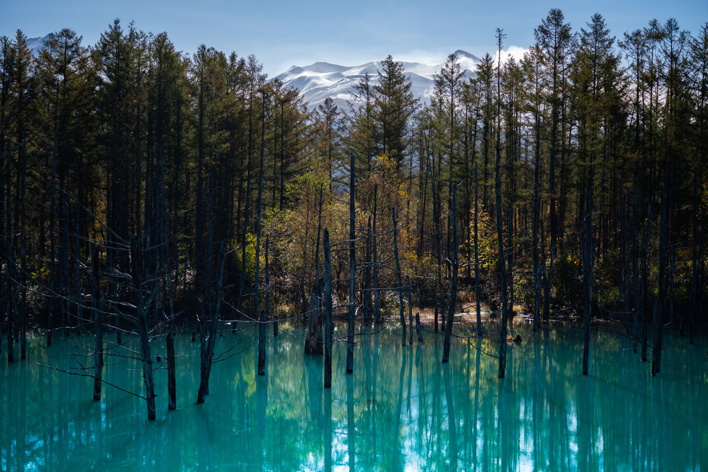 Blue Pond