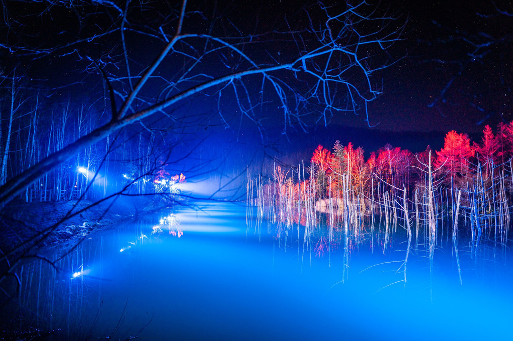 青い池のライトアップ