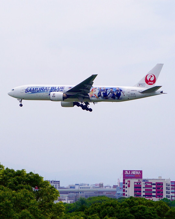 JAL／SAMURAI BLUE2018応援ジェット機📣✈️