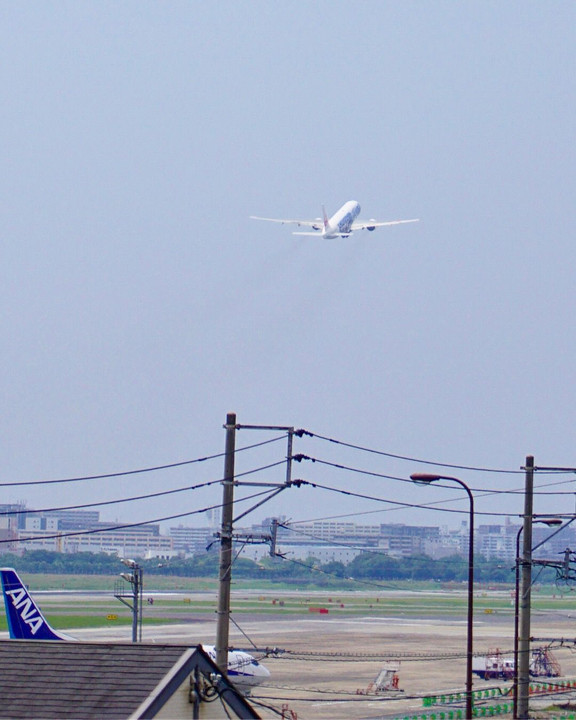 JAL／SAMURAI BLUE応援ジェット機📣✈️