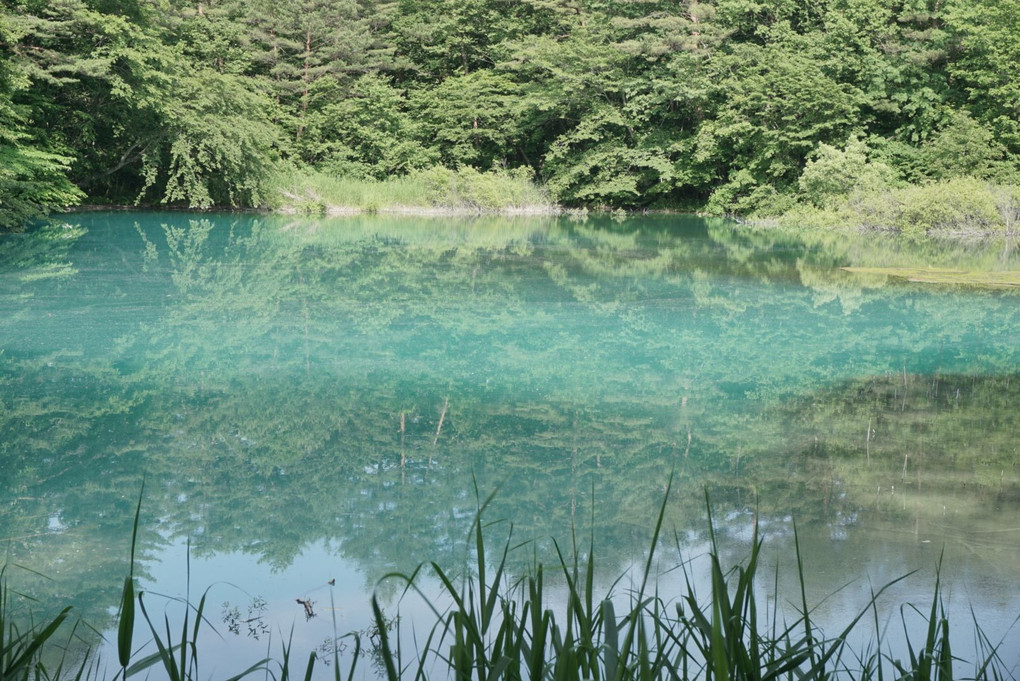 これまた五色ヌマ