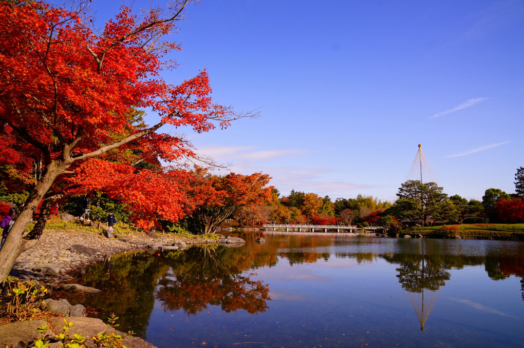 色づく昭和記念公園