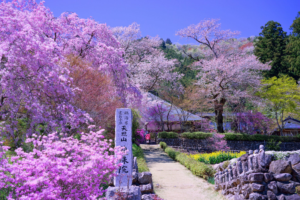 乙津花の里