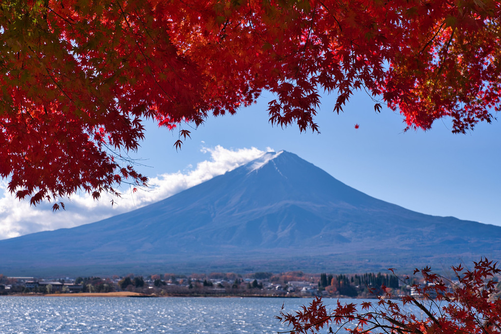 富士山と紅葉めぐり