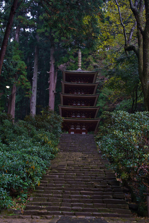 談山神社・室生寺　雨の紅葉狩り