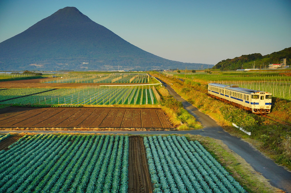 晩秋の輝ける大地