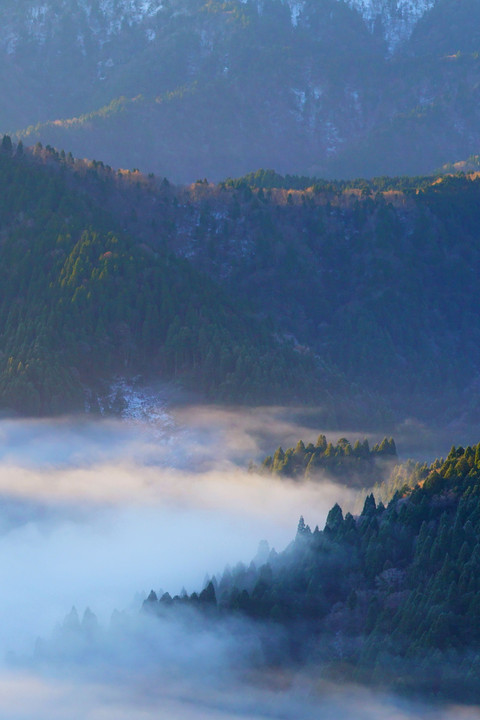 雲海に浮かぶ杉山