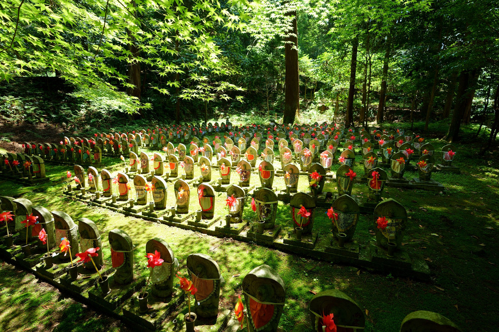 湖東三山　金剛輪寺