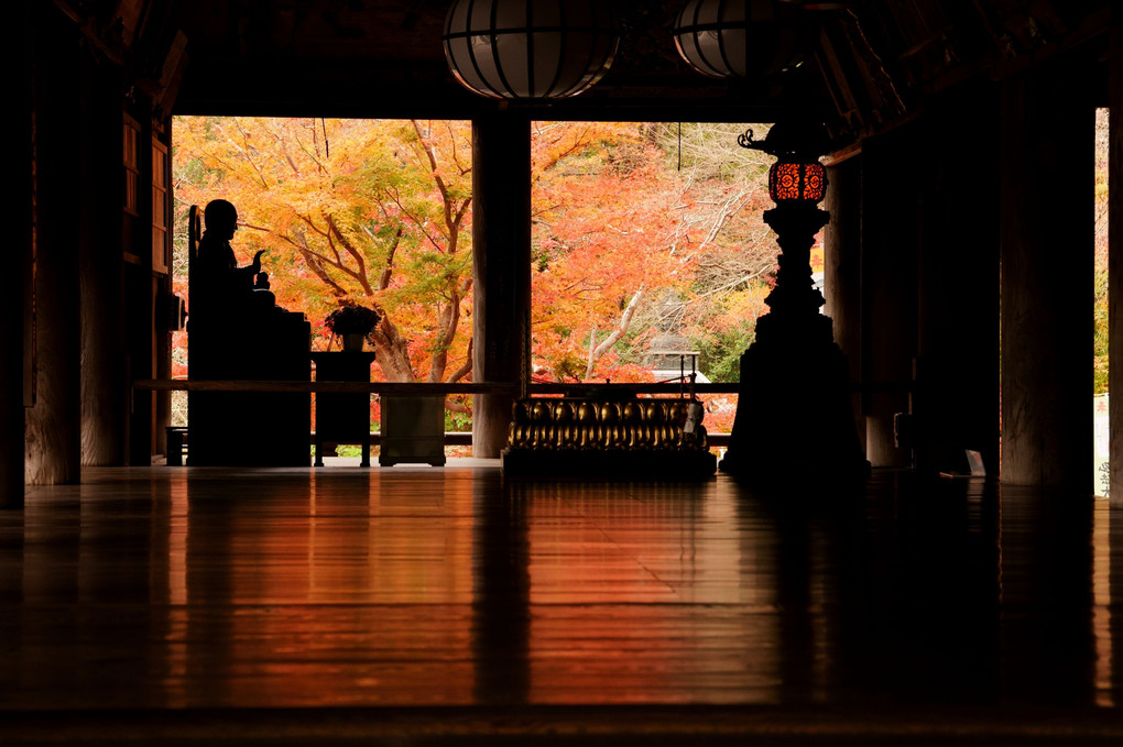 赤に染まる長谷寺