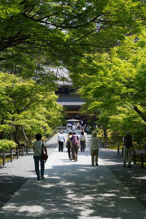 南禅寺にて。