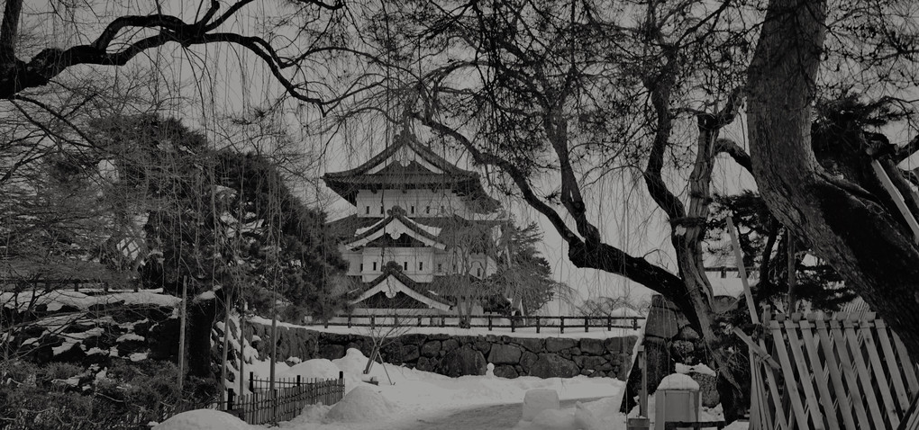 弘前城冬！