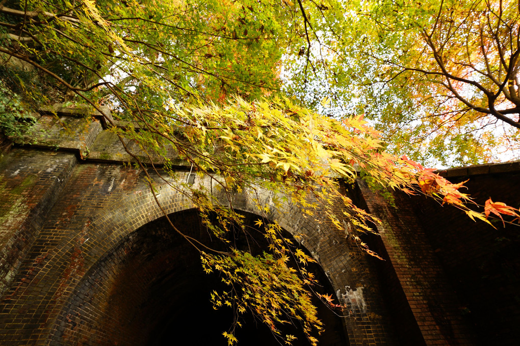 トンネルと紅葉