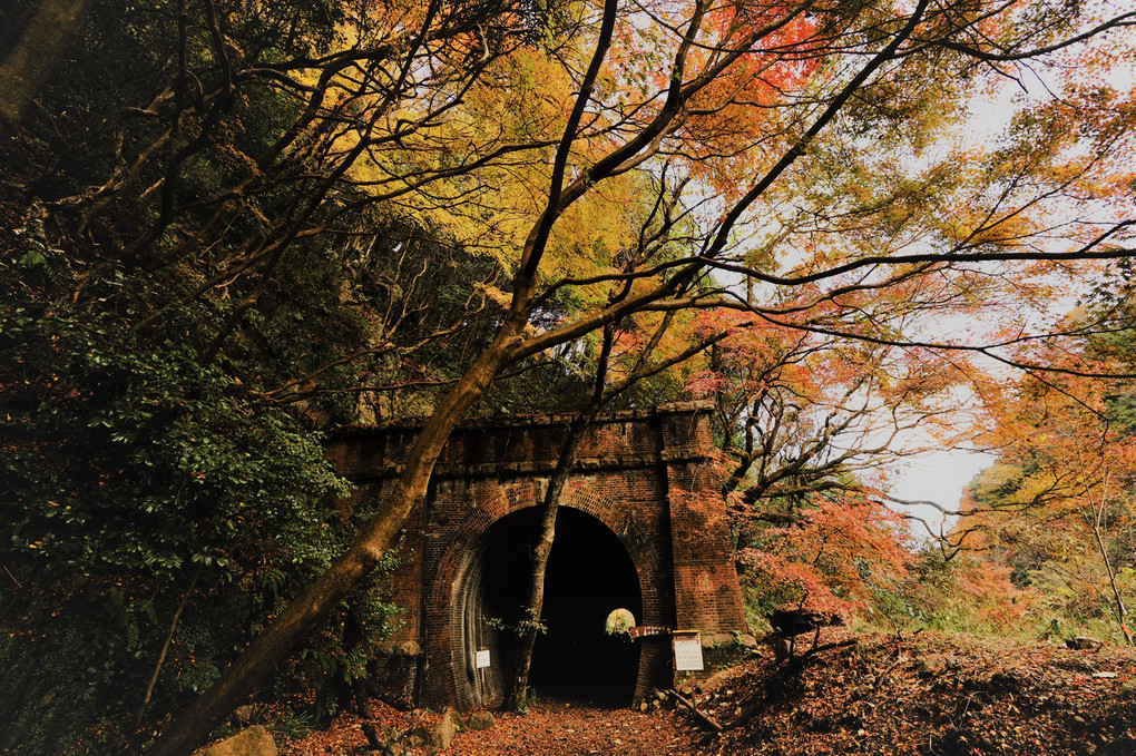 トンネルと紅葉