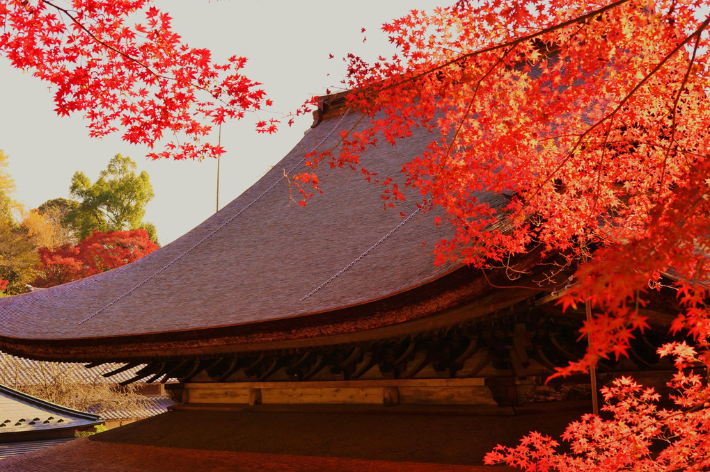 寺と紅葉
