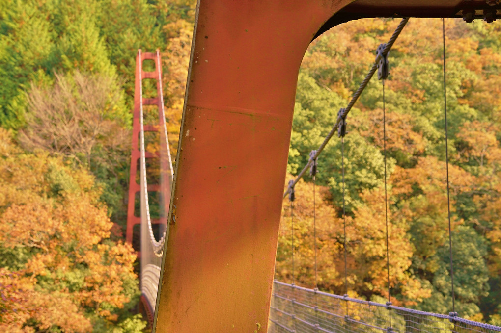 岐阜　多良峡吊り橋からの眺め