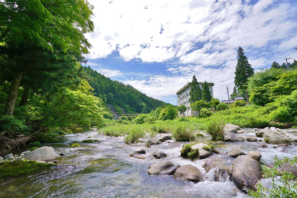 山と空に溶け込む館