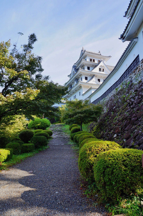 郡上八幡城