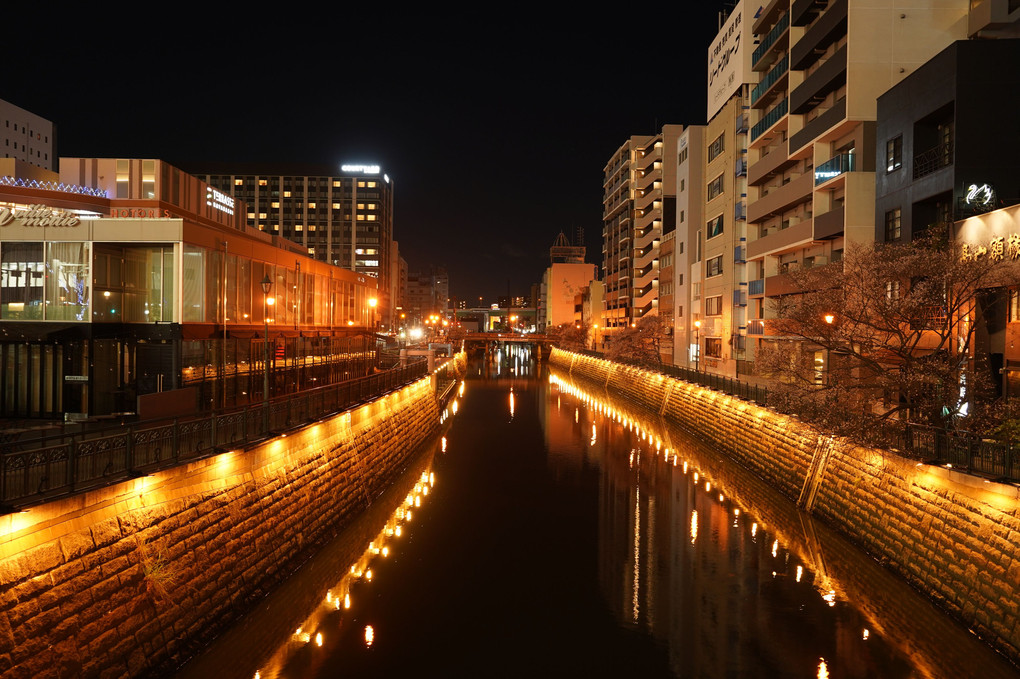 名古屋の納屋橋夜景
