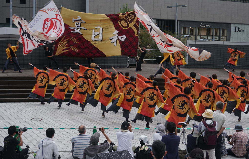 にっぽん、ど真ん中祭り