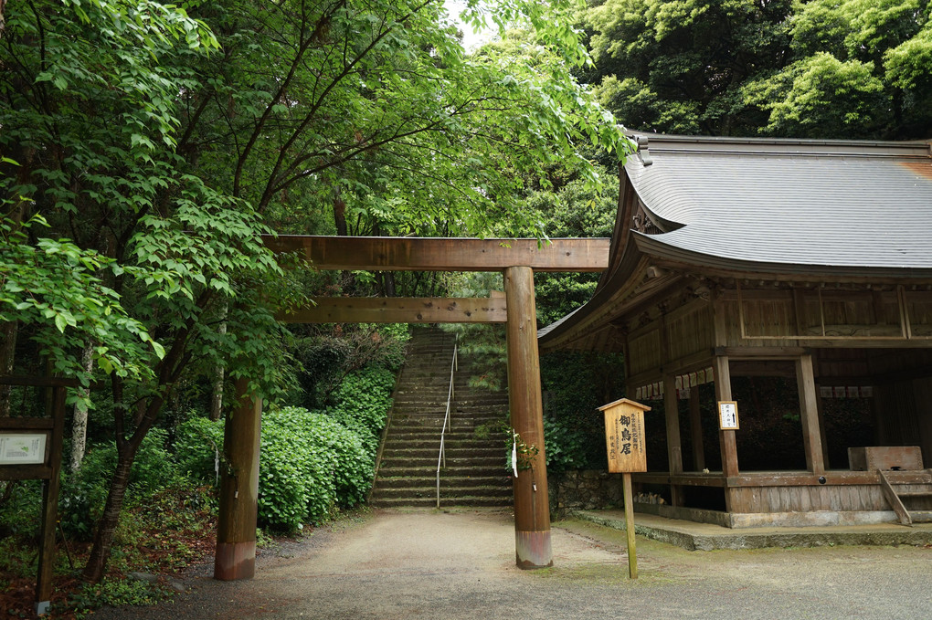 桜井神社