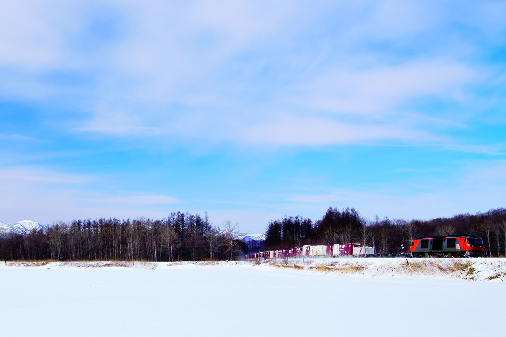 雪景色