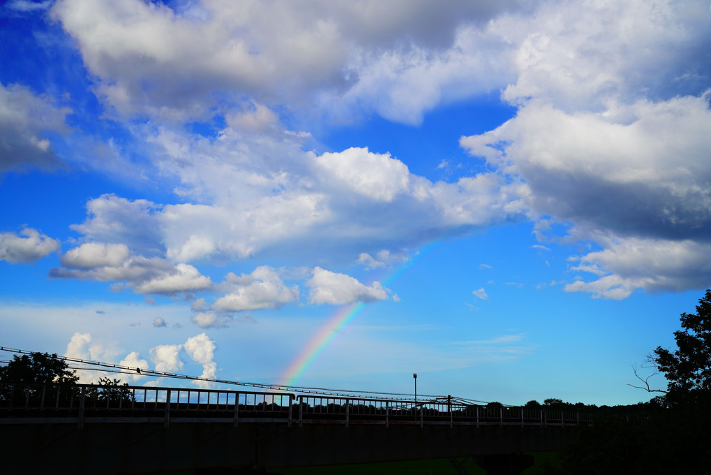 Rainbow Express