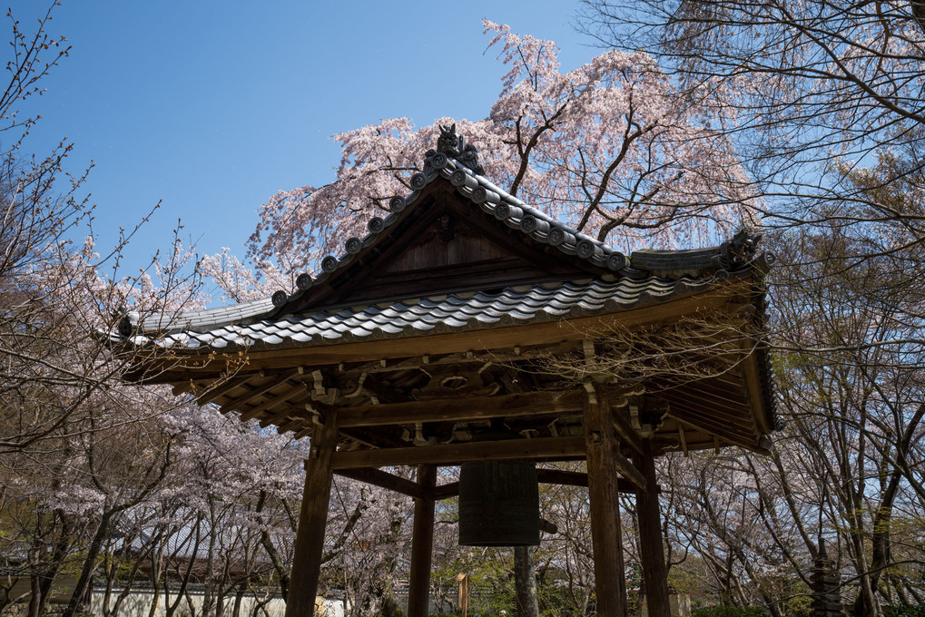 その名の通り花の寺