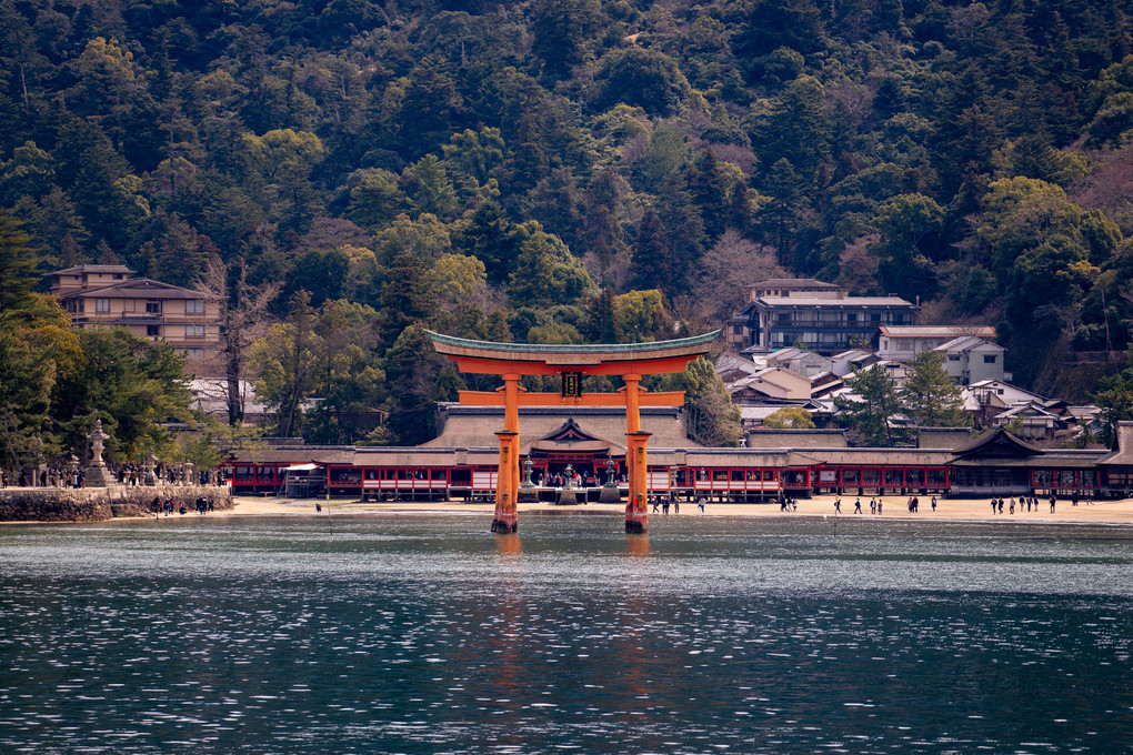 厳島神社:海から見つめた参道