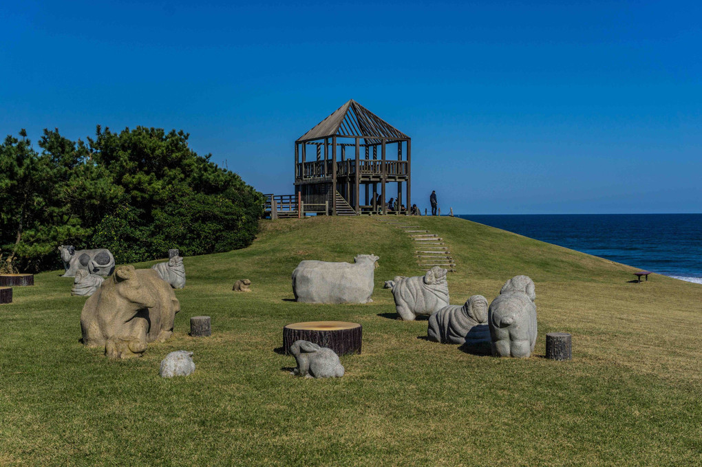 大洗海岸にて