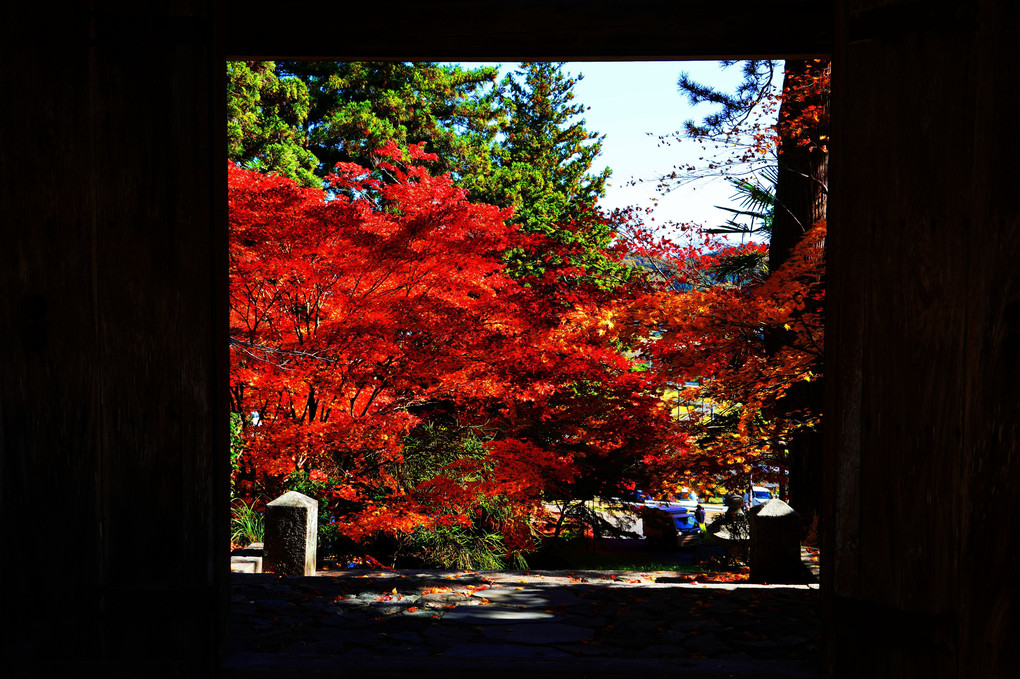 紅葉が彩る京都散策　彩りの龍穏寺