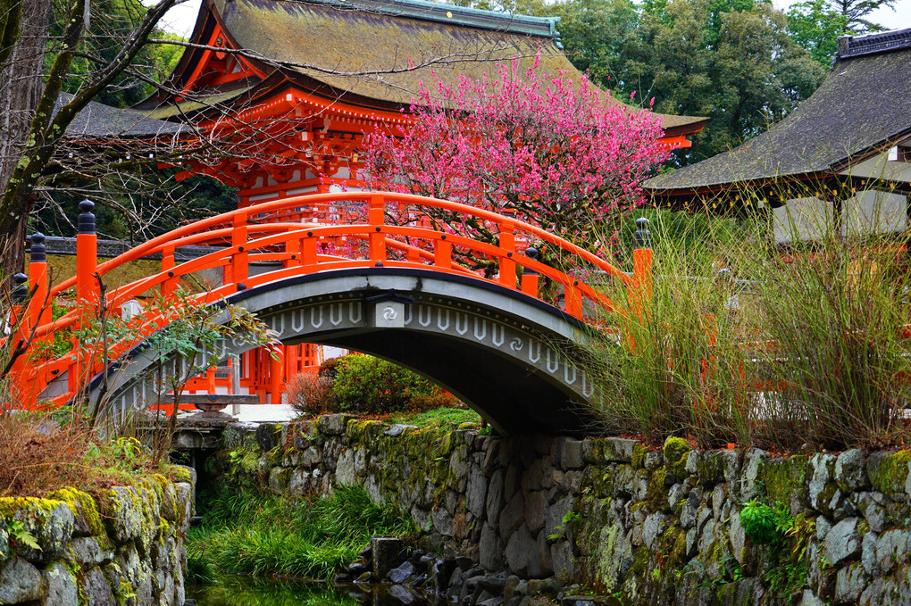 早春の京都散策