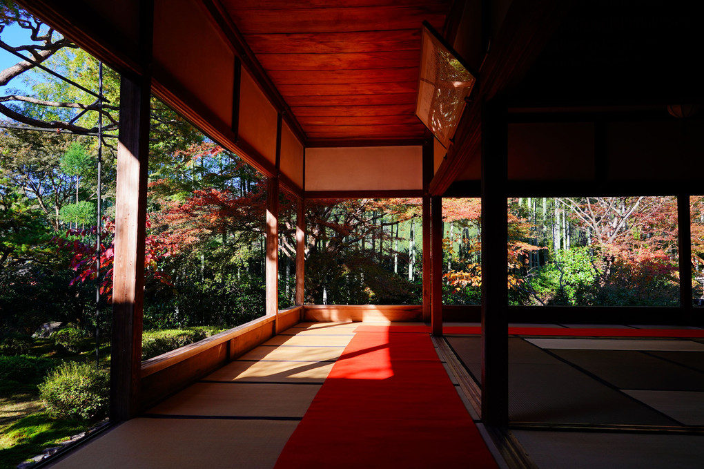 京都もみじ散策　大原の里